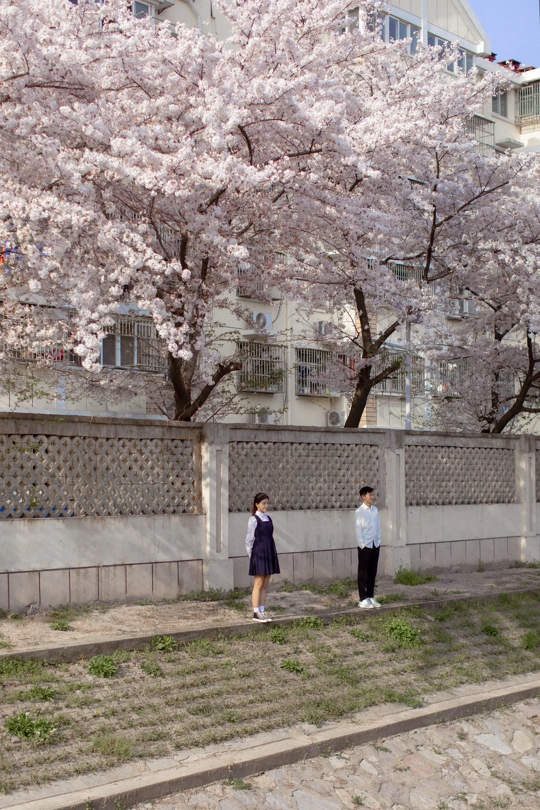 [YITUYU艺图语]2021.09.02 粉樱花语 模特合集 [28P]插图2
